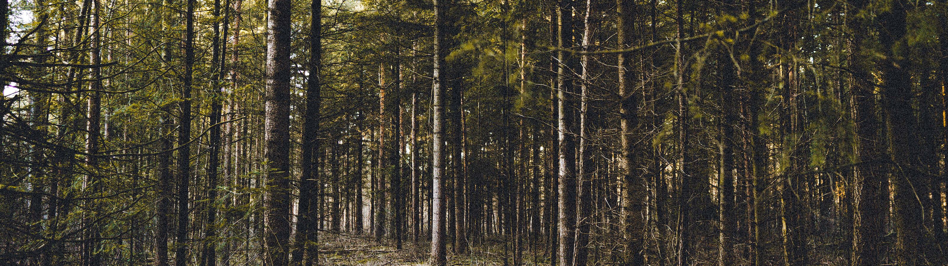 Projekte im Hotel Backenköhler